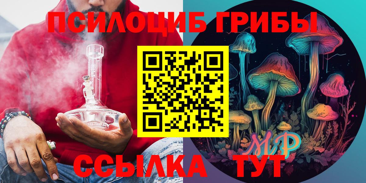 Галлюциногенные грибы Psilocybe Благовещенск